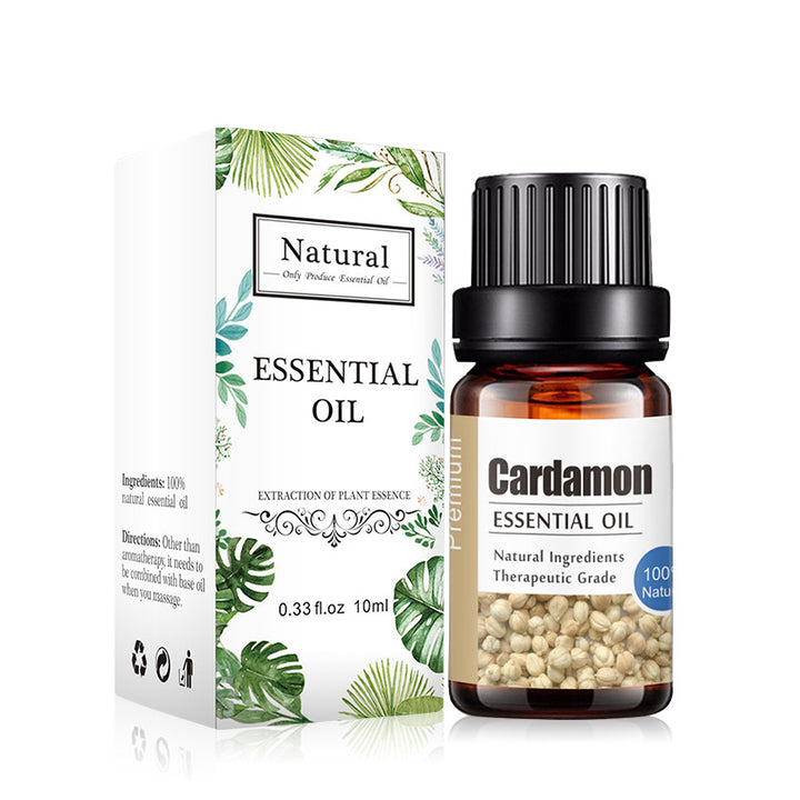 ✨ Aromatherapy Essential Oil — Lavender & Multi-Blend Fragrance (10ml) 🌿💧