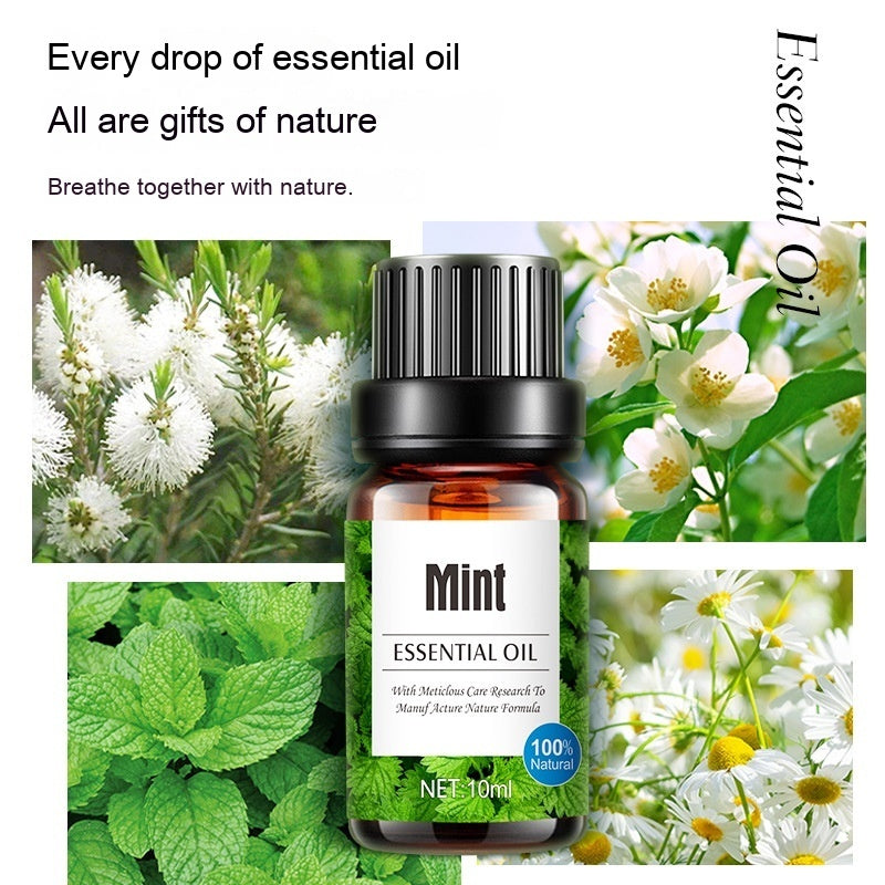 ✨ Water-Soluble Lavender Plant Aromatherapy Oil Set — Humidifier Essential Oils (8 Bottles) 🌿💧💜