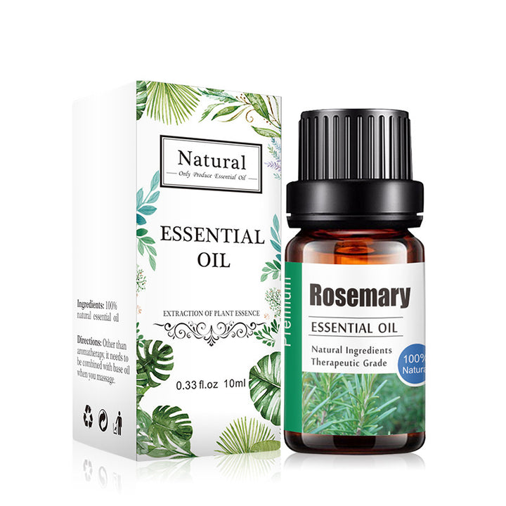 ✨ Aromatherapy Essential Oil — Lavender & Multi-Blend Fragrance (10ml) 🌿💧