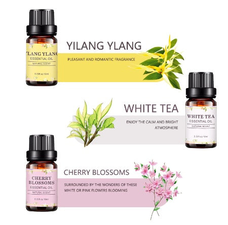 ✨ Aromatherapy Oil Set — White Tea, Rose & Gardenia (10ml Each) 🌿🌸