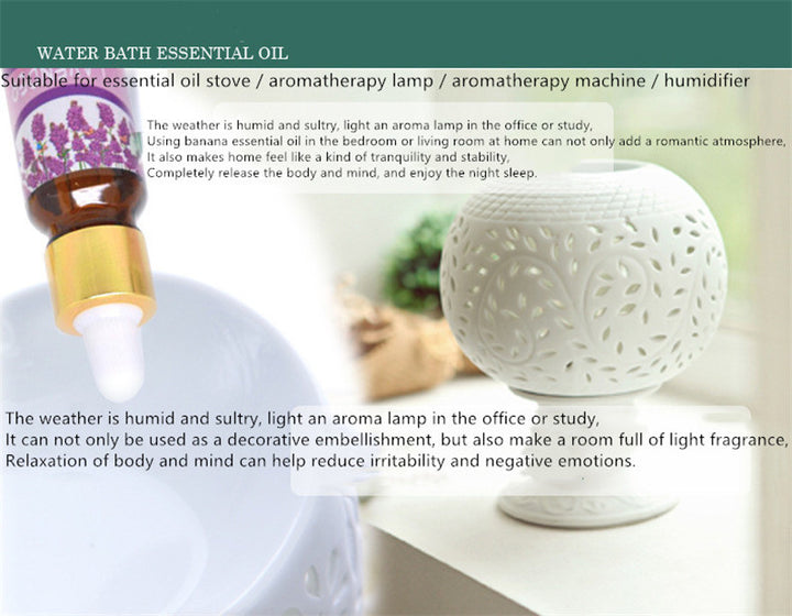 🌿 Aromatherapy Essential Oil Set (12 Bottles)