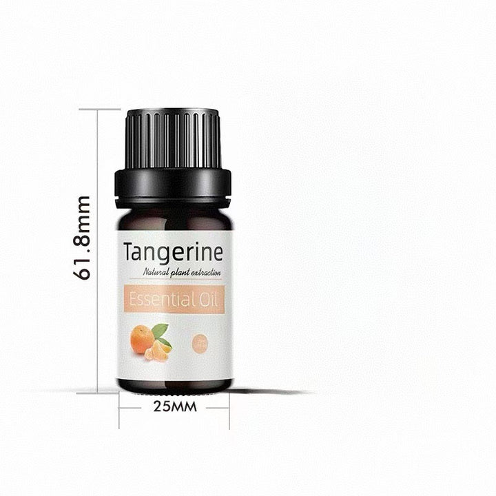 ✨ Preserved Rose & White Tea Botanical Body Care Essential Oil (10ml) 🌹🍃💧