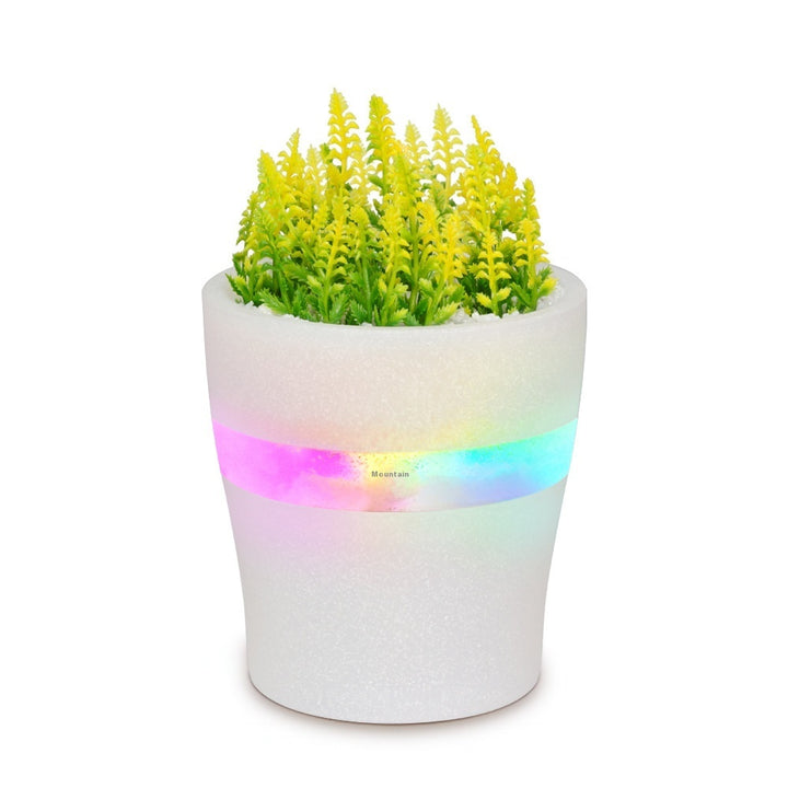 🌿💧 Green Plant Vase Humidifier | Desktop Mute Timing Air Atomizer ✨
