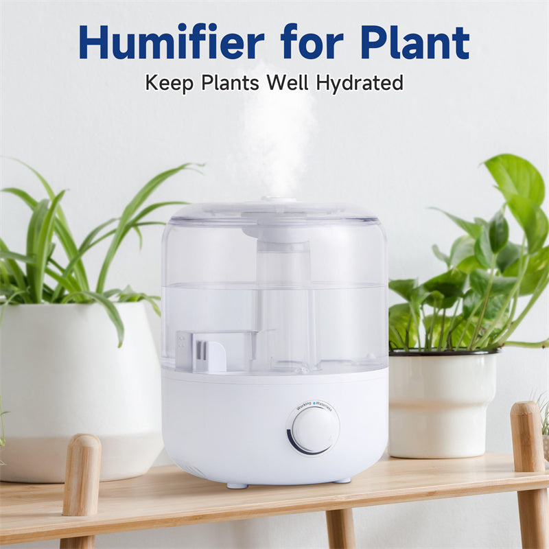 💧🏠 3L Mechanical Humidifier | BPA-Free with Low Water Protection ✨