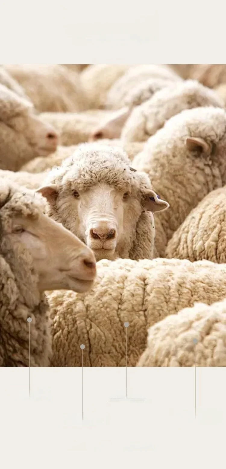 400g Hand-Dyed Chunky Alpaca Yarn (2 Skeins) – Gradient Rainbow Wool Yarn for Sweaters, Scarves & Hats