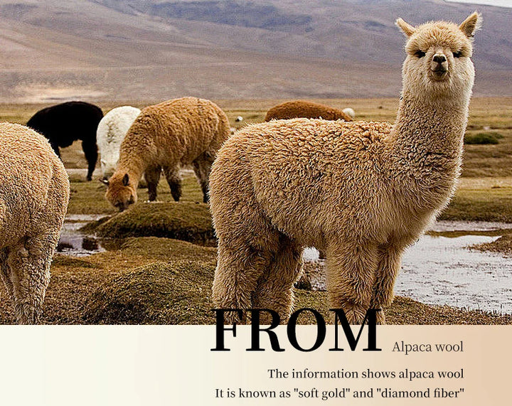 500g Alpaca Wool 245 Stick Stitch Yarn (5 Pieces) – Thick Knitting Yarn for Sweaters, Coats, Blankets & DIY Crafts