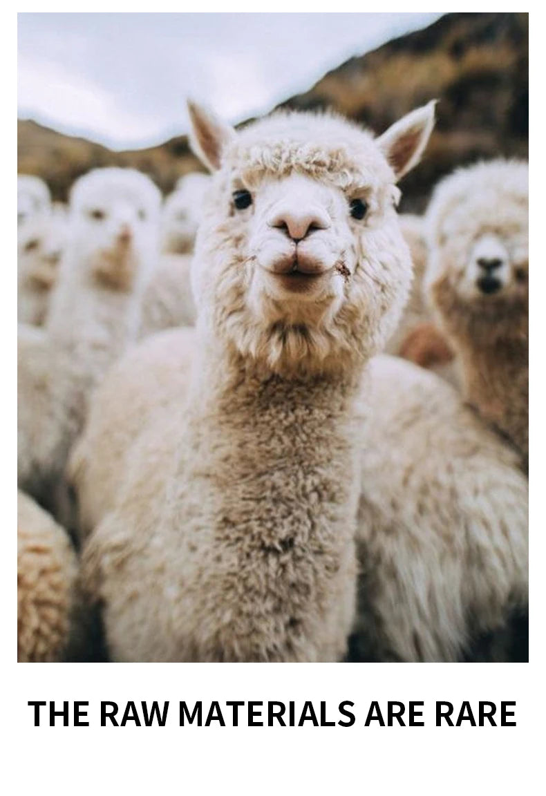 500g Thick Alpaca Wool Yarn Set (5 Skeins) – Soft Warm Knitting Yarn for Sweaters, Scarves, Hats & Winter Crafts