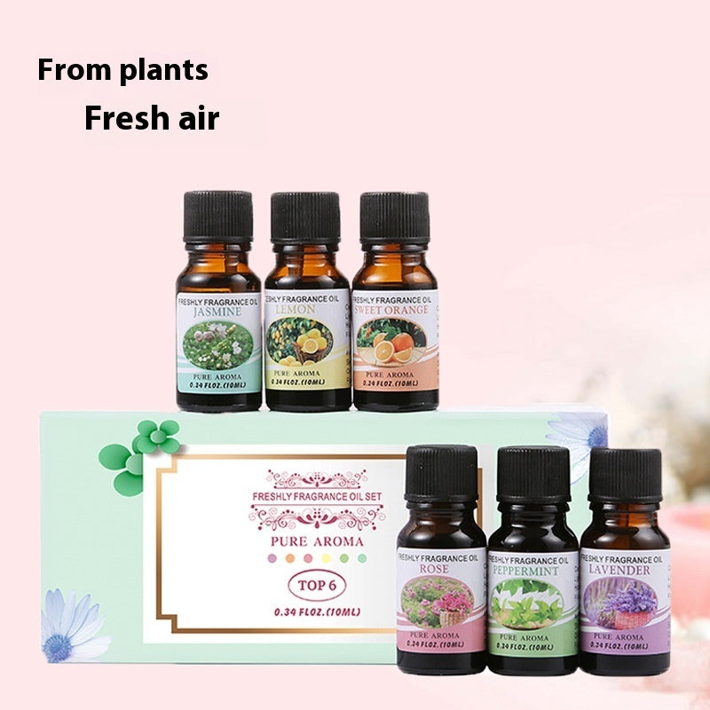🌿 Fragrant Stone Aromatherapy Humidifier Water-Soluble Essential Oil Set (6 × 10ml Gift Box)