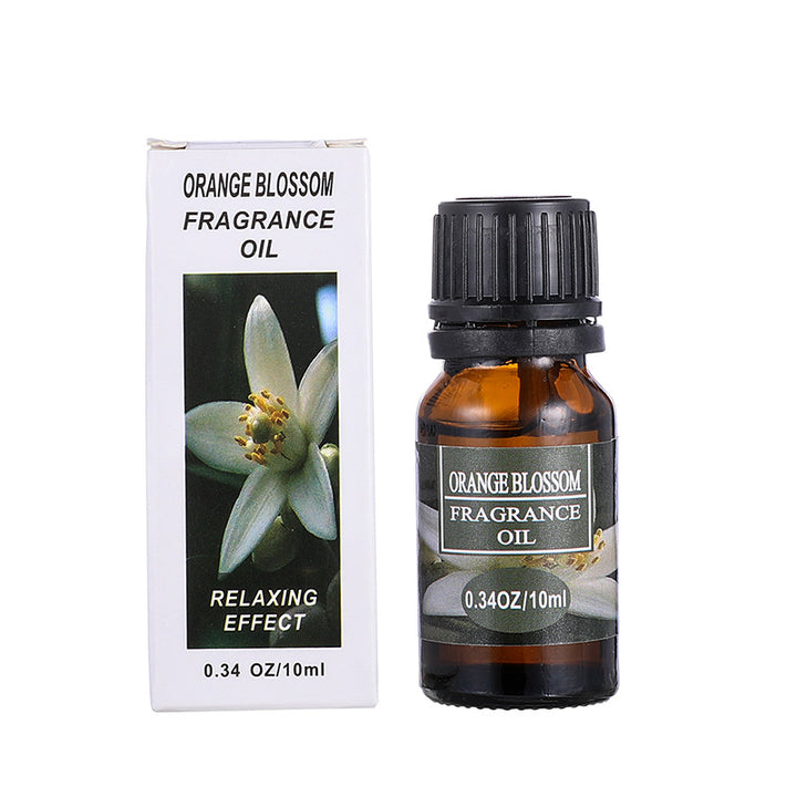✨ Lotus Malaysia Aromatherapy Essential Oil Set — Water-Soluble Diffuser Oils (20 × 10ml) 🌿💧