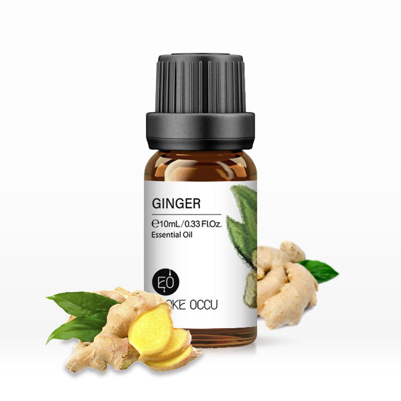 ✨ Aroma Essential Oil — Lavender Humidifier & Massage Oils Collection (10ml) 🌿💧