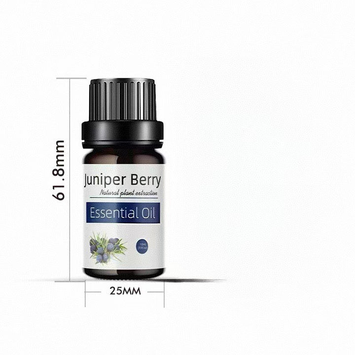 ✨ Preserved Rose & White Tea Botanical Body Care Essential Oil (10ml) 🌹🍃💧