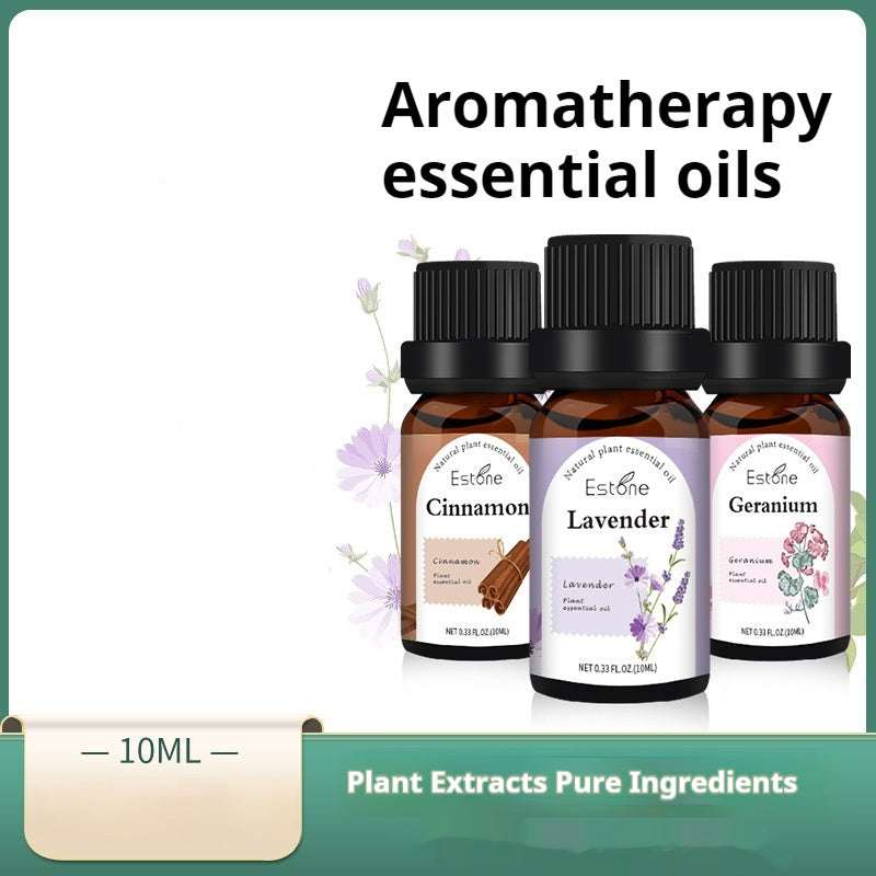 ✨ Plant Aromatherapy Essential Oil — Massage & Fragrant Stone Use (10ml) 🌿💧