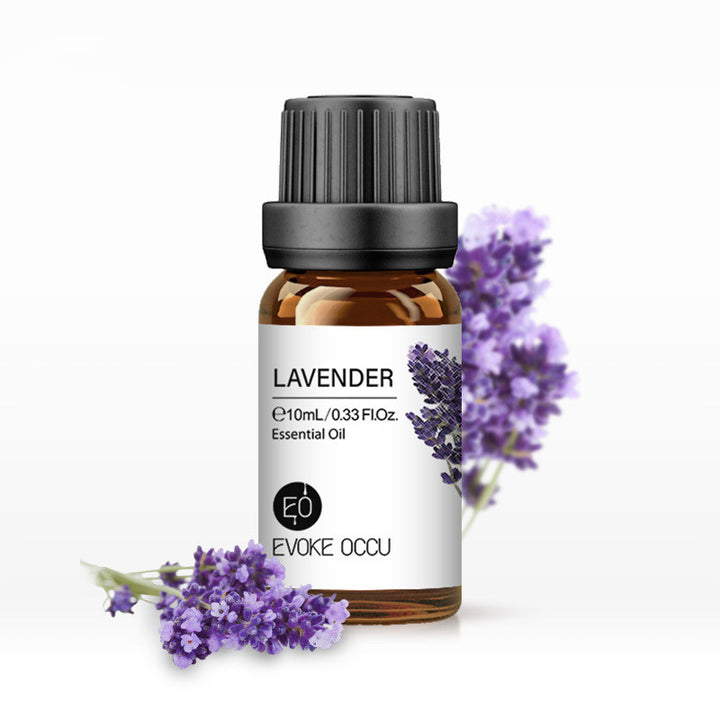 ✨ Aroma Essential Oil — Lavender Humidifier & Massage Oils Collection (10ml) 🌿💧