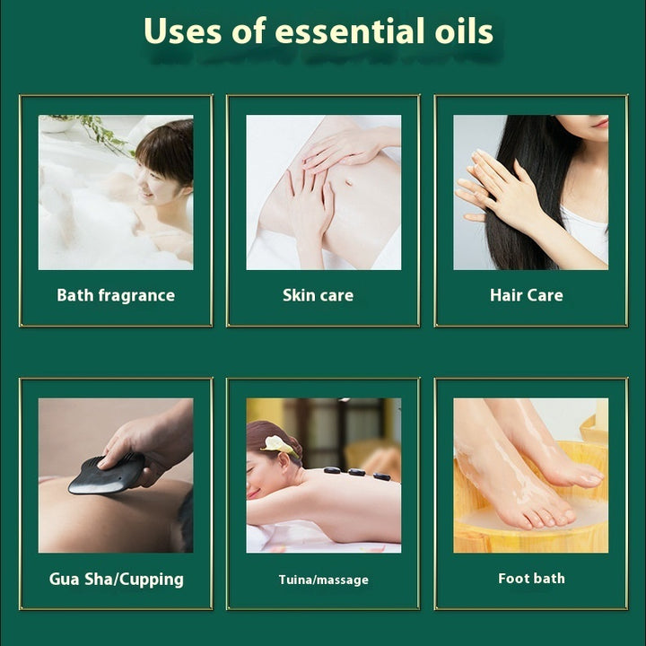 ✨ Massage Essential Oil — Whole Body Care & Meridian Scraping Oil (500ml) 🌿💧