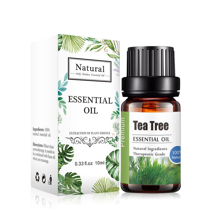 ✨ Aromatherapy Essential Oil — Lavender & Multi-Blend Fragrance (10ml) 🌿💧
