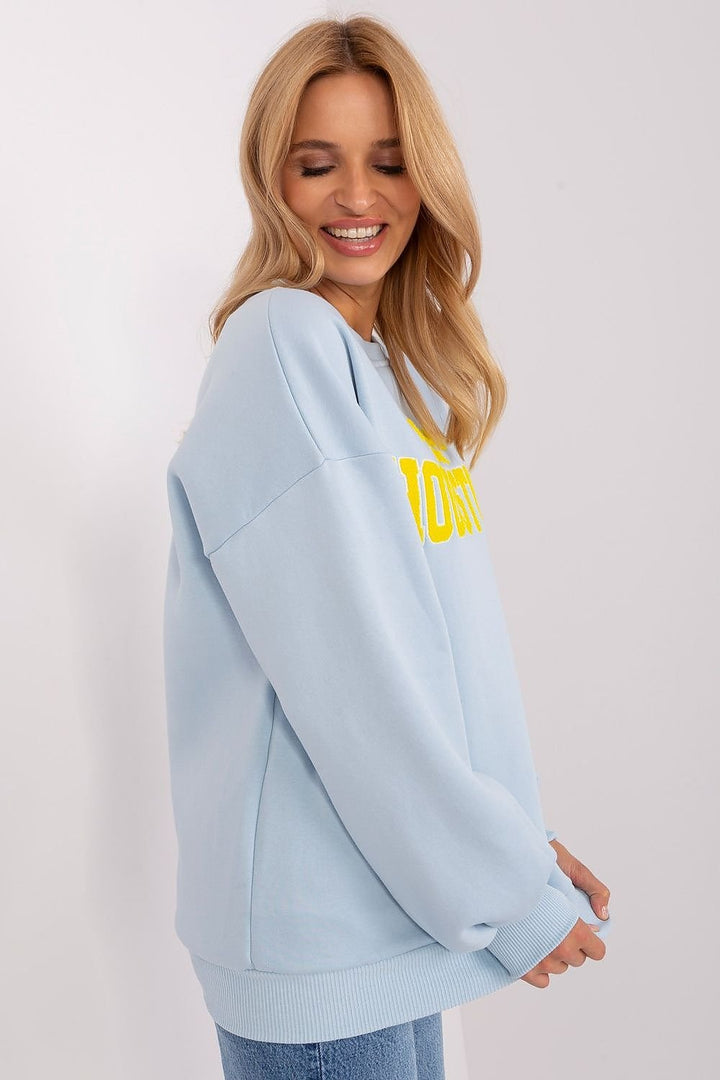  Sweatshirt model 206664 Factory Price 