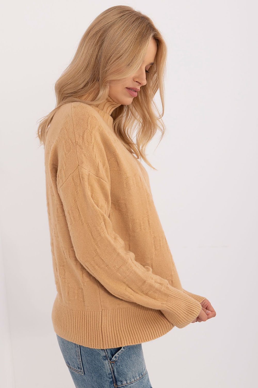  Turtleneck model 208281 AT 