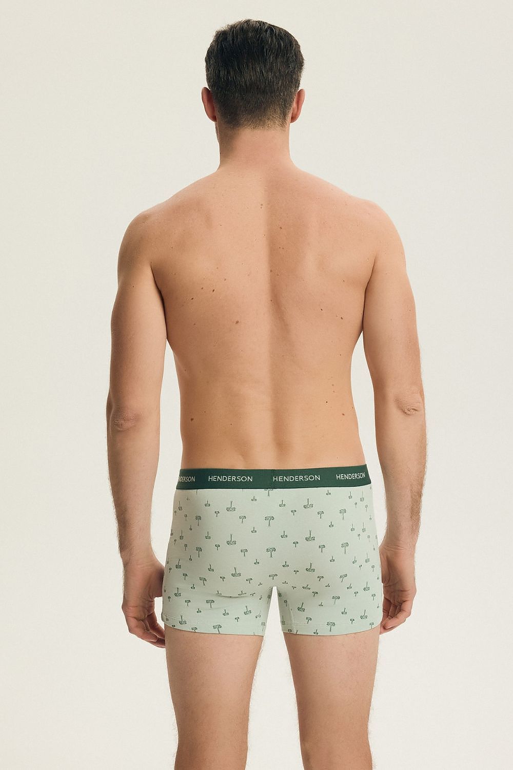  Set model 224348 Henderson 