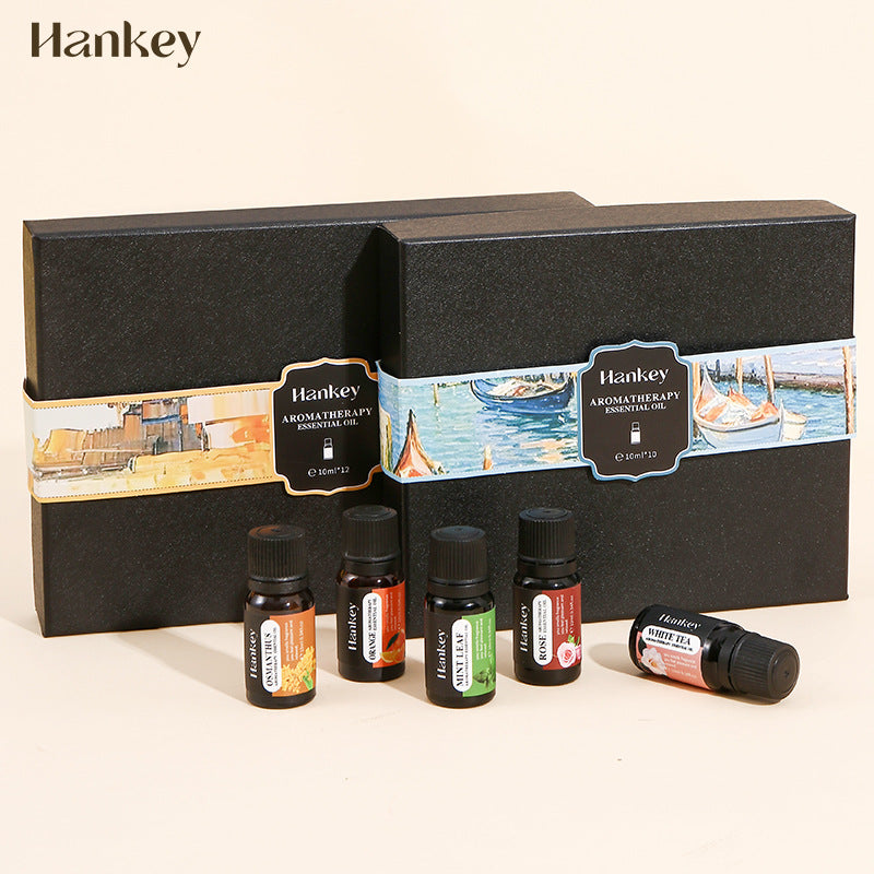 ✨ Water-Soluble Aromatherapy Oil Box — Home Use Fragrance Set 🌿💧