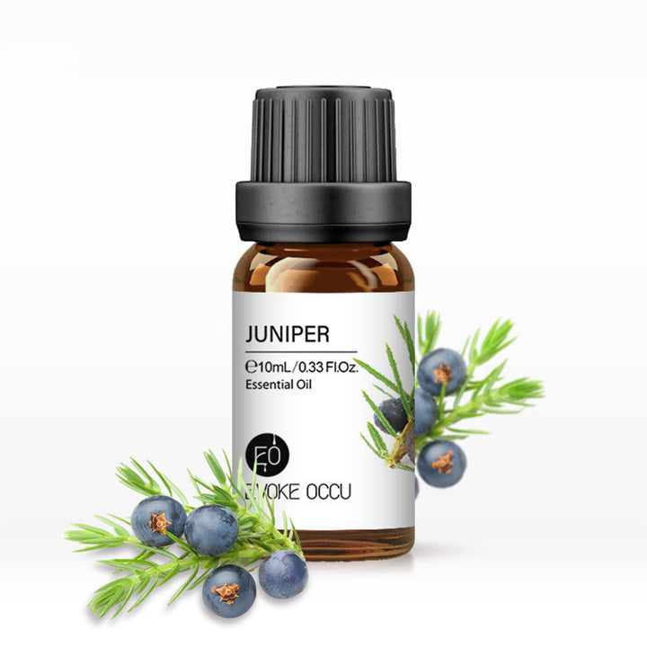 ✨ Aroma Essential Oil — Lavender Humidifier & Massage Oils Collection (10ml) 🌿💧
