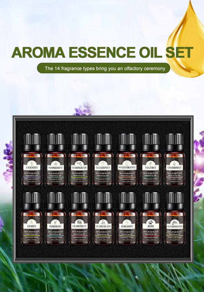 ✨ Plant Aromatherapy Essential Oil Set — 6 × 10ml (Lavender Blend) 🌿💧