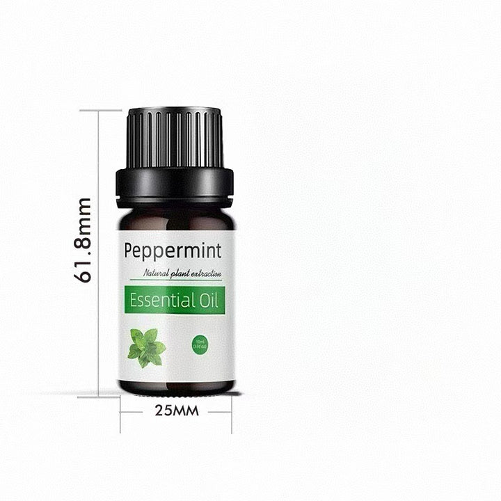 ✨ Preserved Rose & White Tea Botanical Body Care Essential Oil (10ml) 🌹🍃💧