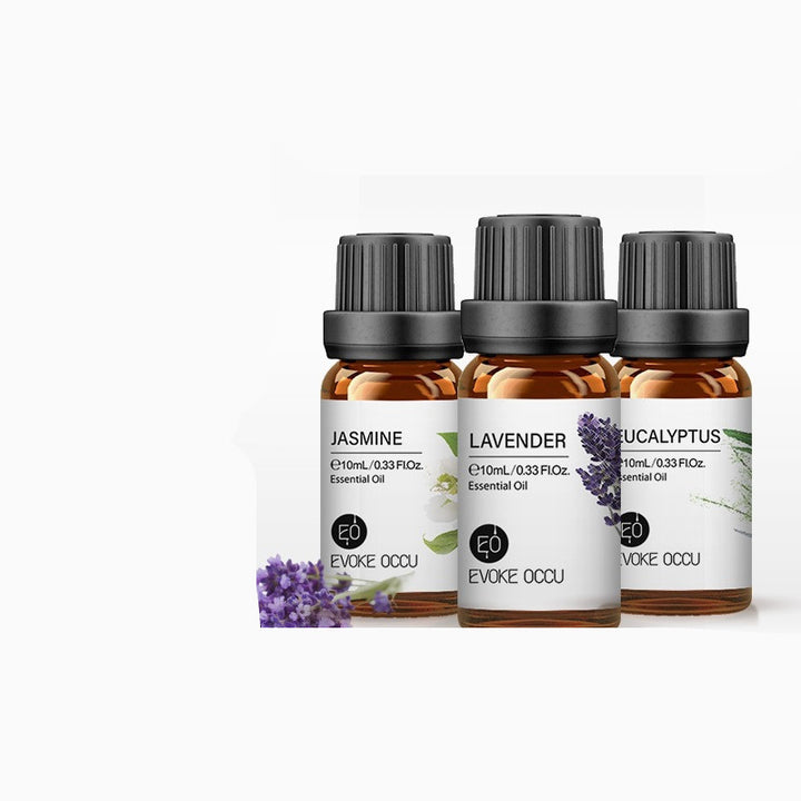 ✨ Aroma Essential Oil — Lavender Humidifier & Massage Oils Collection (10ml) 🌿💧