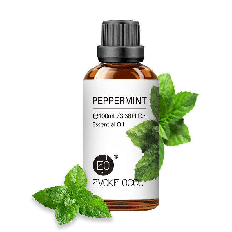 ✨ Household Aromatherapy Essential Oil — Multi-Use Fragrance Oil (100ml) 🕯️🌿