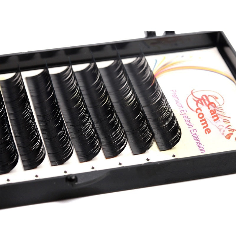 👁️✨ Grafting False Eyelashes – Korea Silk Volume Lash Extensions