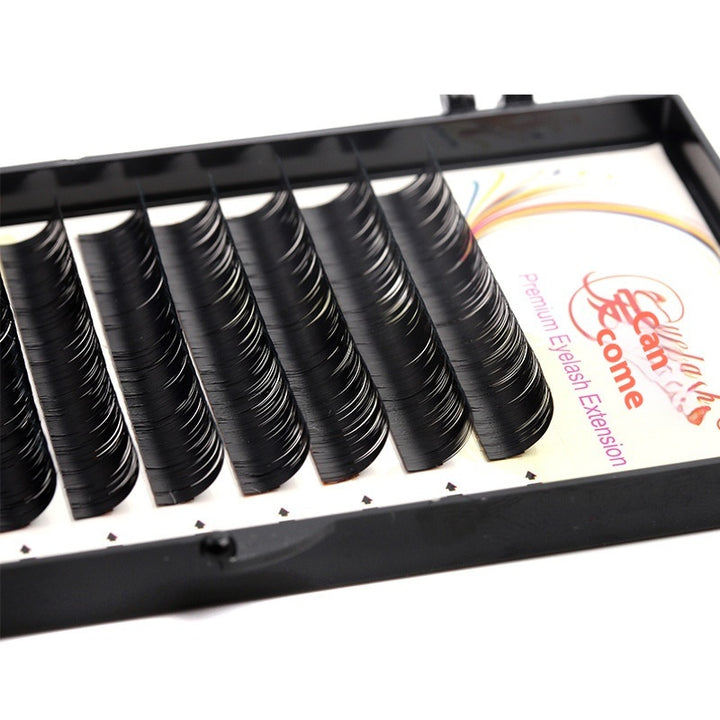👁️✨ Grafting False Eyelashes – Korea Silk Volume Lash Extensions