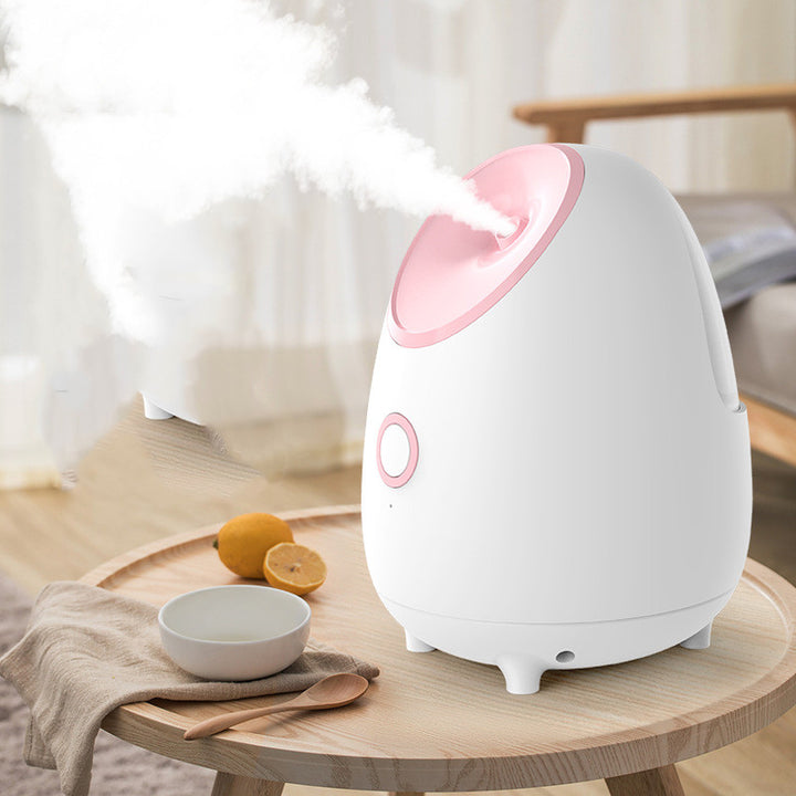 🍃💨 Household Fruit & Vegetable Spray Moisturizing Facial Steamer | Hot Mist Beauty Device