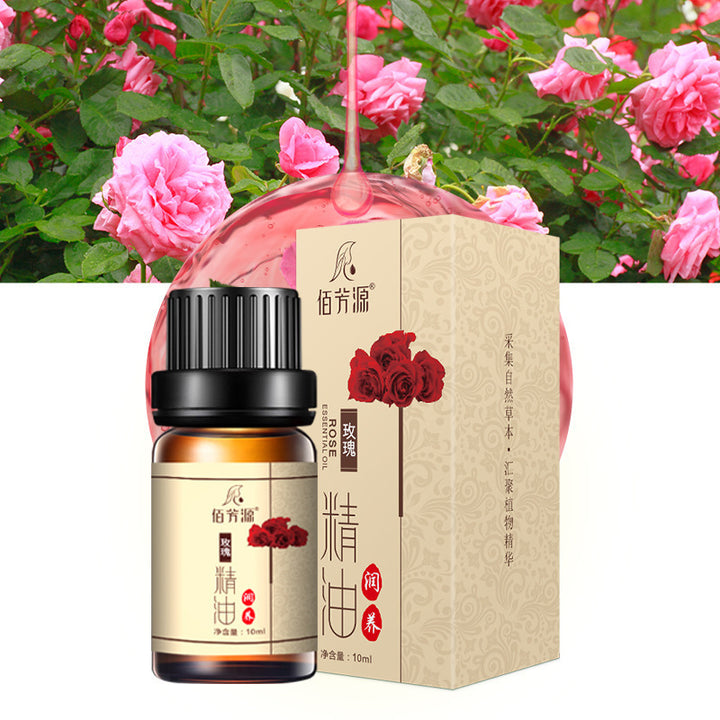✨ Artemisia (Wormwood) Body Massage Organic Essential Oil — Sample Size 🌿💧