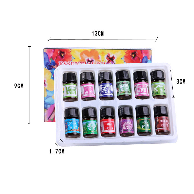 ✨ Water-Soluble Humidifier Aromatherapy Essential Oils Set — 12 × 3ml 🌿💧