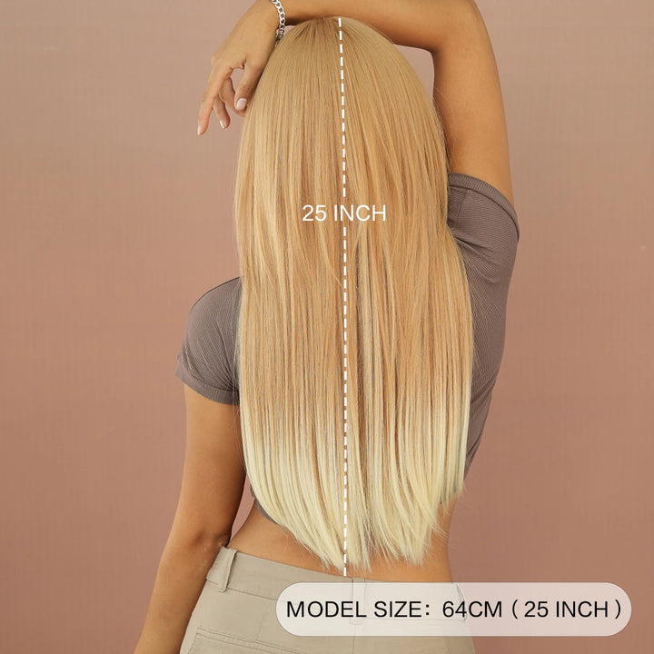 Synthetic hair wig with long straight hair, bangs, middle part, and highlight gray color. Perfect for women, cosplay, and drag queens.
