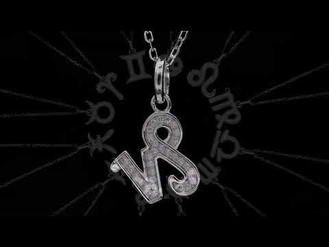 🛍️✨ 12 Zodiac Signs – Capricorn S925 Sterling Silver Platinum-Plated Moissanite Necklace ✨